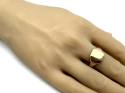 9ct Yellow Gold Signet Ring