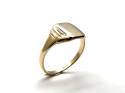 9ct Yellow Gold Signet Ring