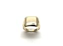 9ct Yellow Gold Signet Ring