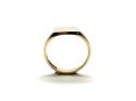 9ct Yellow Gold Plain Signet Ring