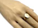 9ct Yellow Gold Oval Signet Ring