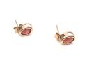 9ct Yellow Gold Garnet Stud Earrings