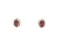 9ct Yellow Gold Garnet Stud Earrings