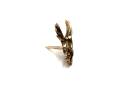 9ct Yellow Gold Eagle Tie Pin