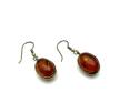 9ct Cognac Oval Amber Drop Earrings