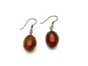 9ct Cognac Oval Amber Drop Earrings