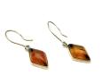 9ct Yellow Gold Amber Drop Earrings