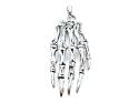 Silver Skeleton Hand Pendant