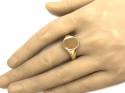 9ct Yellow Gold Signet Ring