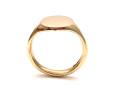 9ct Yellow Gold Signet Ring