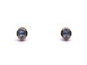 9ct Blue Topaz Stud Earrings