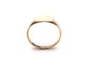 9ct Yellow Gold Signet Ring