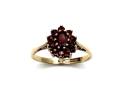 9ct Yellow Gold Garnet Cluster Ring