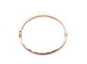 9ct Yellow Gold Hinged Bangle