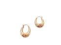 9ct 2 Colour Rose Hoop Earrings