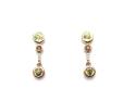 9ct Yellow Gold Gemset Drop Earrings