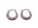 9ct Yellow Gold Hoop Earrings