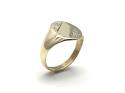 9ct Yellow Gold Oval Signet Ring