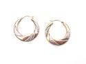 9ct 2 Colour Hoop Earrings