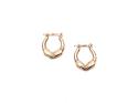 9ct Yellow Gold Hoop Earrings