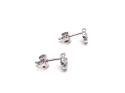 Silver Cz Cc Stud Earrings 6X5Mm