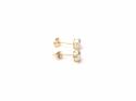 9ct Yellow Gold CZ Stud Earrings