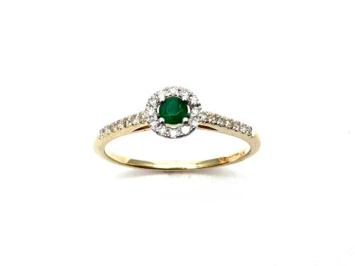 9ct Yellow Gold Emerald & Diamond Halo Ring