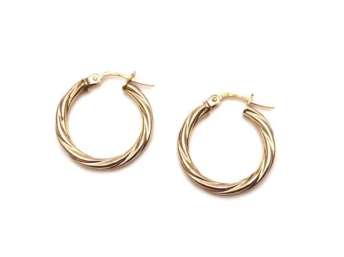 9ct Yellow Gold Hoop Earrings