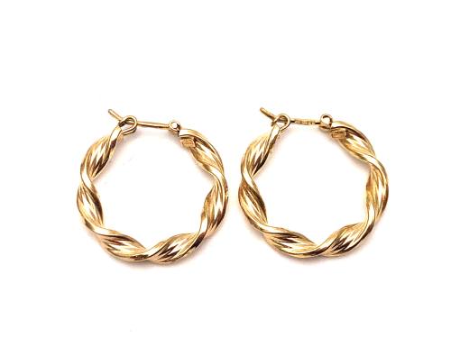 9ct Yellow Gold Hoop Earrings