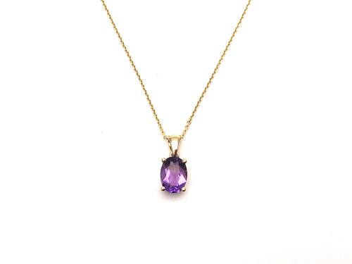 9ct Yellow Gold Amethyst Pendant & Chain