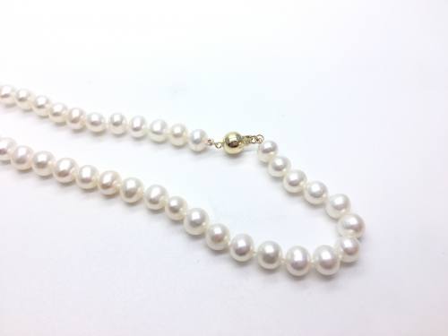 9ct Clasp Pearl Necklet 18 inch at Segal's Jewellers