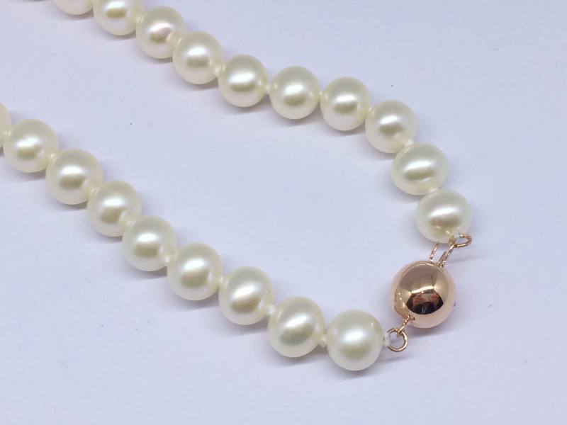 Freshwater Pearls with a 9ct Rose Gold Ball clasp at Segal's Jewellers